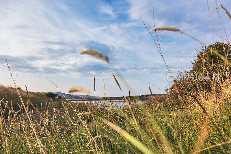 七姐妹郊野公园，Cuckmere Haven，东苏塞克斯，英国